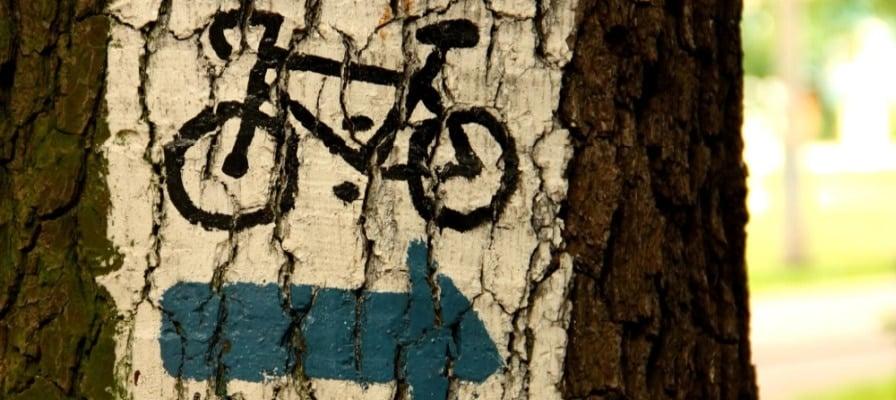 Wegkennzeichnung für E-Bikes im Wald auf Baumstamm