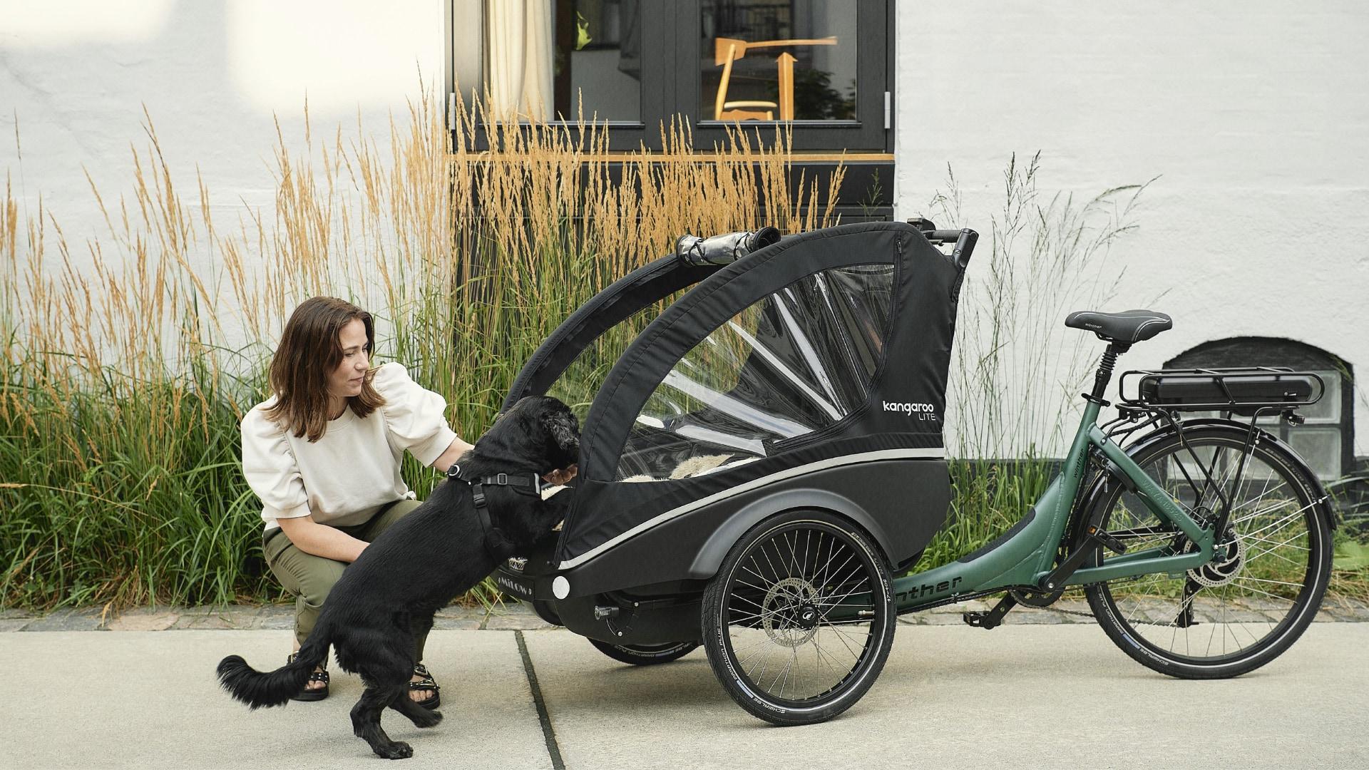 Ideal für Hundetransport: Winther Kangaroo Lite bietet sicheren und stilvollen Komfort auf jeder Fahrradtour.