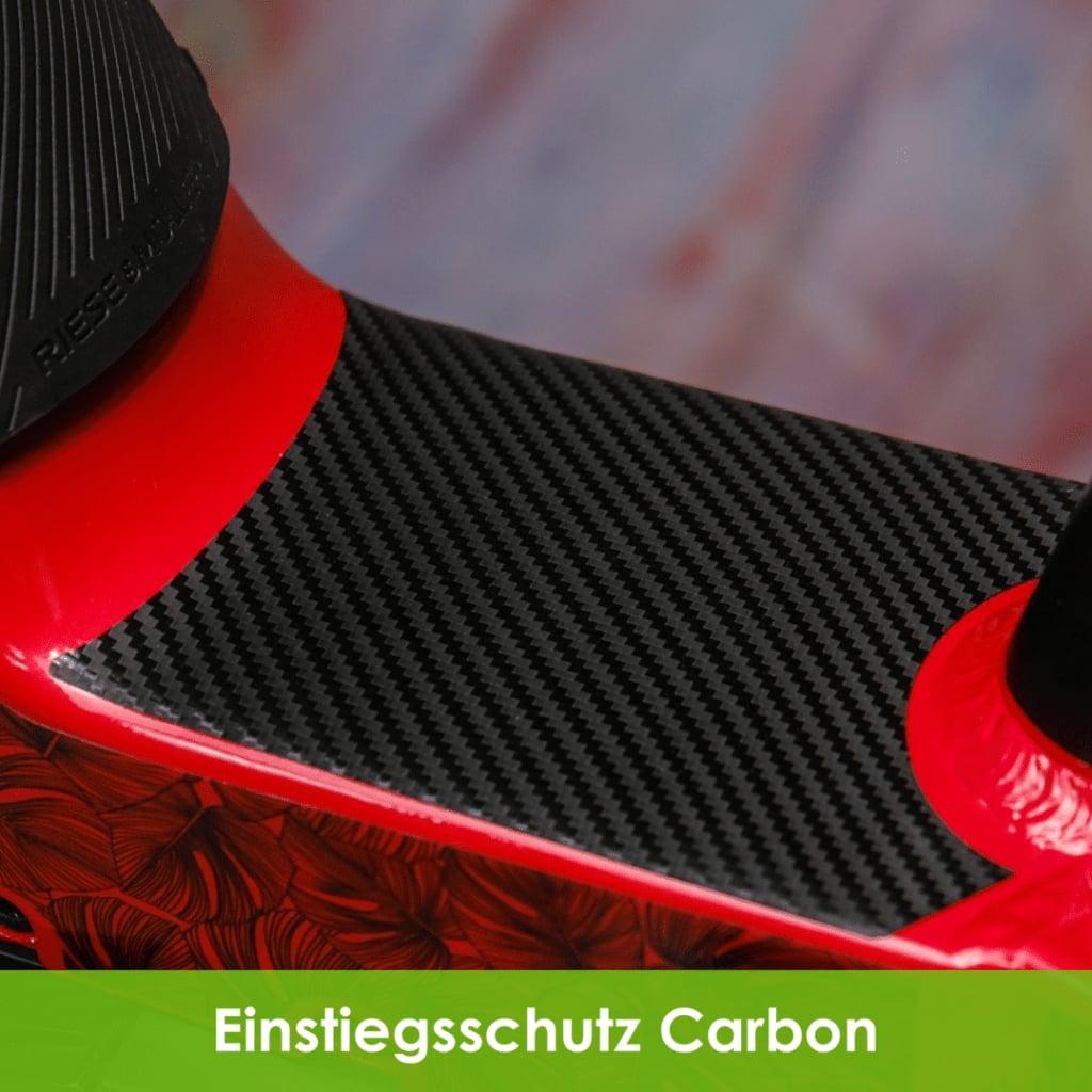 Nahaufnahme eines Carbon-Einstiegsschutzes auf rotem E-Bike