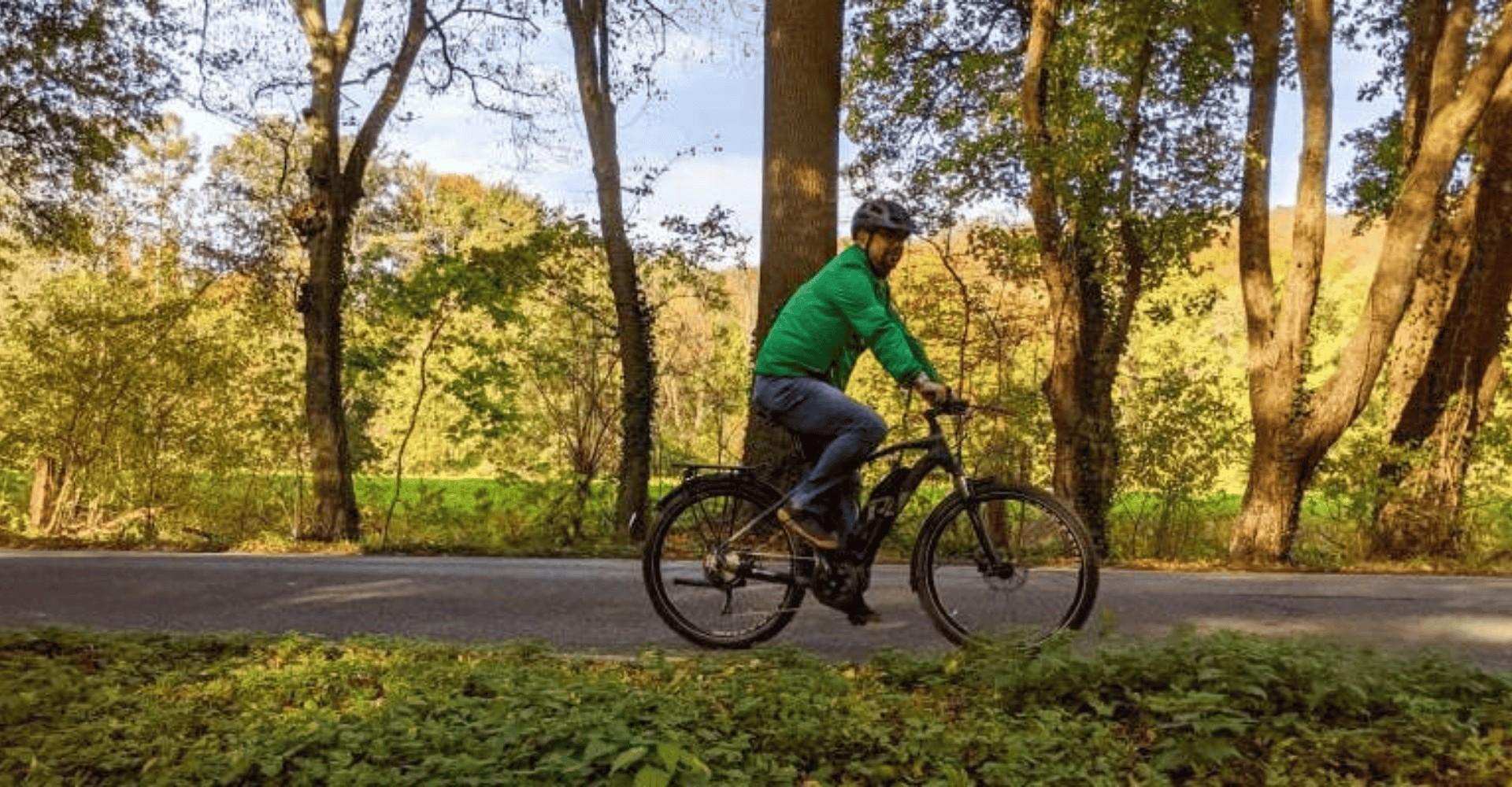 Ein Fahrer sitzt auf dem Raymon Tourray E 6.0 und fährt durch den Wald