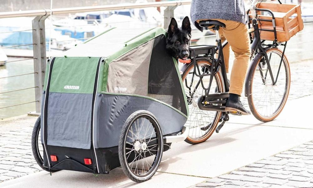 Bequemer Transport für Hunde: Croozer Fahrradanhänger mit großem Komfort. Ideal für Radtouren mit Ihren Vierbeinern