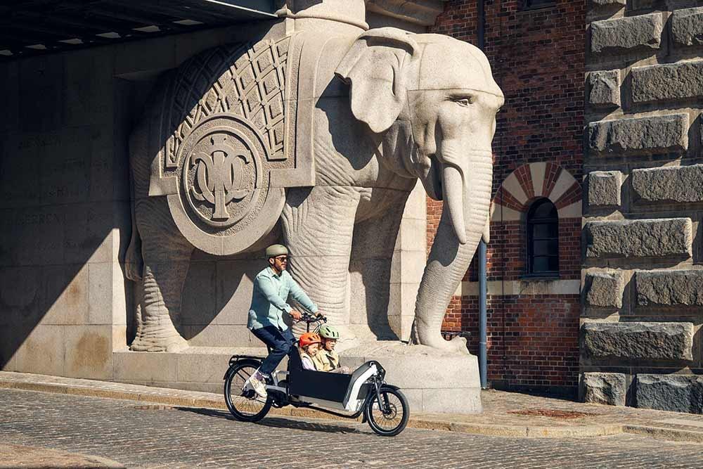 Mann fährt Lastenrad mit Kind vor steinerner Elefantenstatue