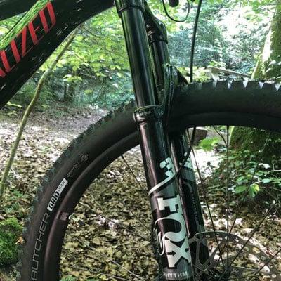 Mountainbike im Wald mit Fox-Federgabel und Specialized-Rahmen
