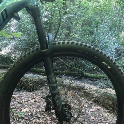Nahaufnahme eines Fahrrad-Vorderrads im Wald