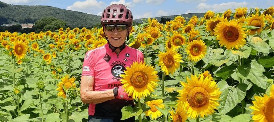 Fahrradfahrer in Sonnenblumenfeld mit rosa Trikot