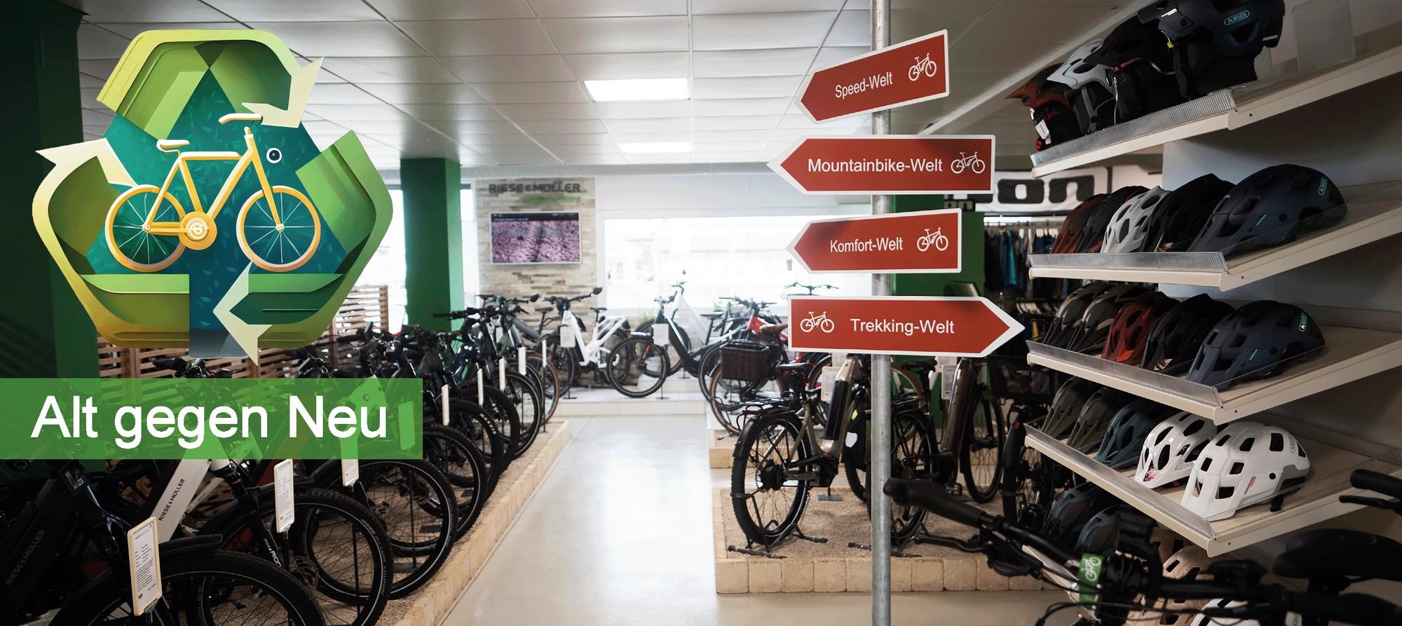 Das Bild zeigt eine moderne Fahrrad- und E-Bike-Ausstellung in einem Fachgeschäft.