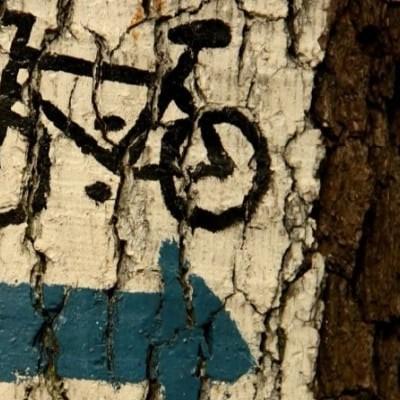 Wegkennzeichnung für E-Bikes im Wald auf Baumstamm