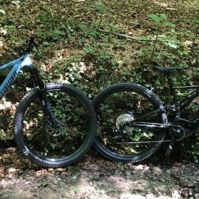 Vergleich von zwei Specialized Levo E-Bikes im Wald