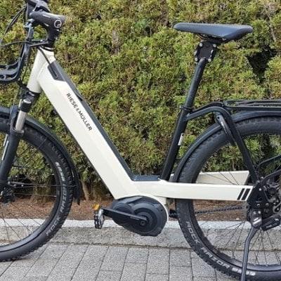 Weißes E-Bike von Riese & Müller vor grüner Hecke