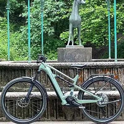 Cannondale Moterra Neo EQ E-Bike vor einem Brunnen im Wald