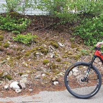 Mann auf Rotwild E-Bike R.C750 auf Waldweg