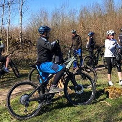 Gruppe von Radfahrern im Wald auf E-Bikes bei sonnigem Wetter