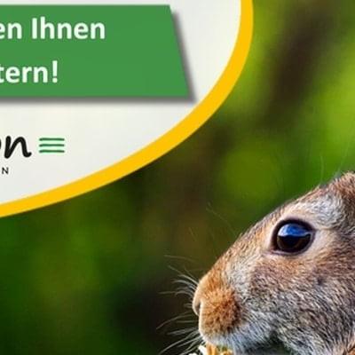 Frohe Ostern Gruß von e-motion mit Kaninchen