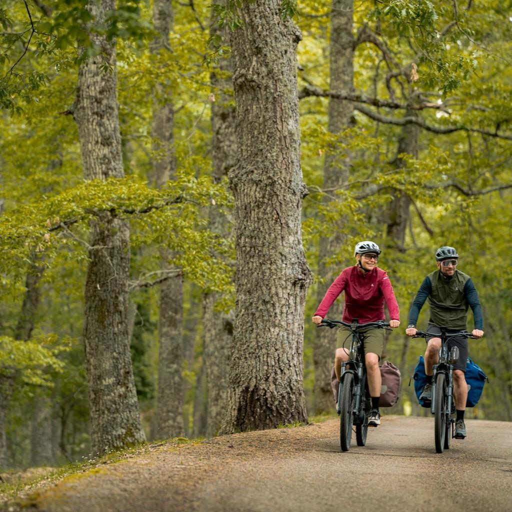Zwei Personen mit Bosch e-Bikes fahren durch den Wald