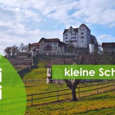 Landschaft mit Schloss und Frühlingswiese unter blauem Himmel