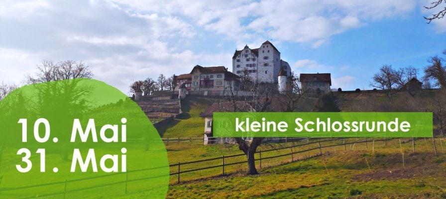 Landschaft mit Schloss und Frühlingswiese unter blauem Himmel