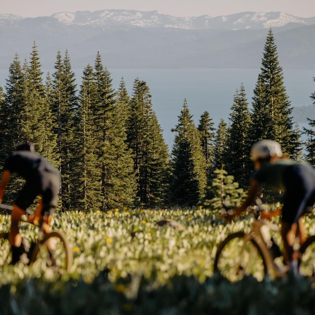 Specialized Creo E-Bike im Gelände