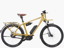 Riese & Müller Charger GX E-Bike Seitenansicht