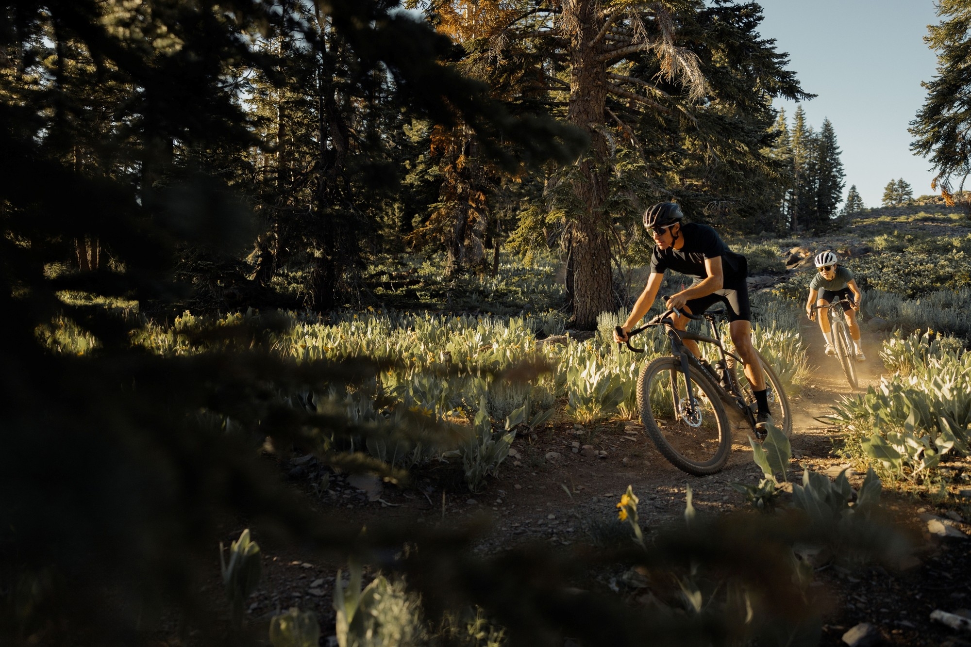 Das Bild zeigt einen Mann und eine Frau auf Specialized Turbo Creo 2 Rennrädern
