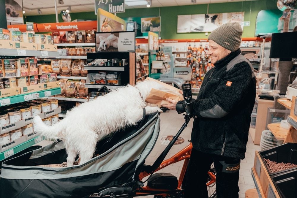 Hund in Fahrradanhänger im Tierbedarfsgeschäft