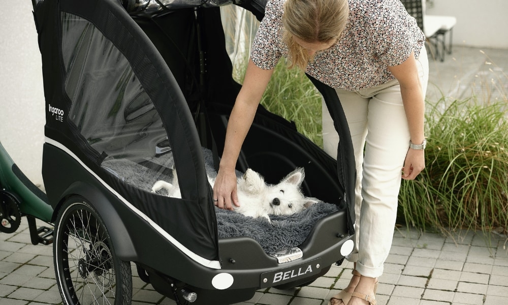 Ein Hund entspannt sich in einem Kangaroo Lite Fahrradanhänger, während seine Besitzerin ihn liebevoll krault. Perf