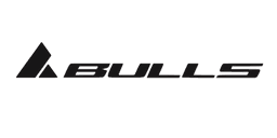 Logo bulls