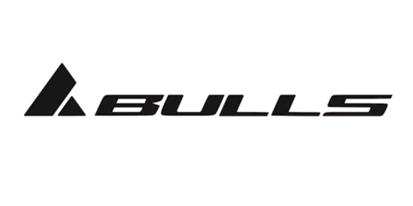 Logo bulls
