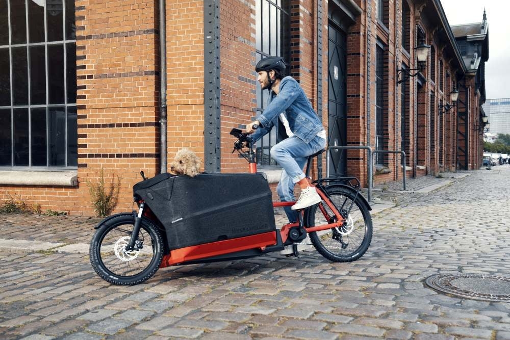 Mann auf Riese & Müller Packster 70 E-Bike mit Hund in der Transportbox