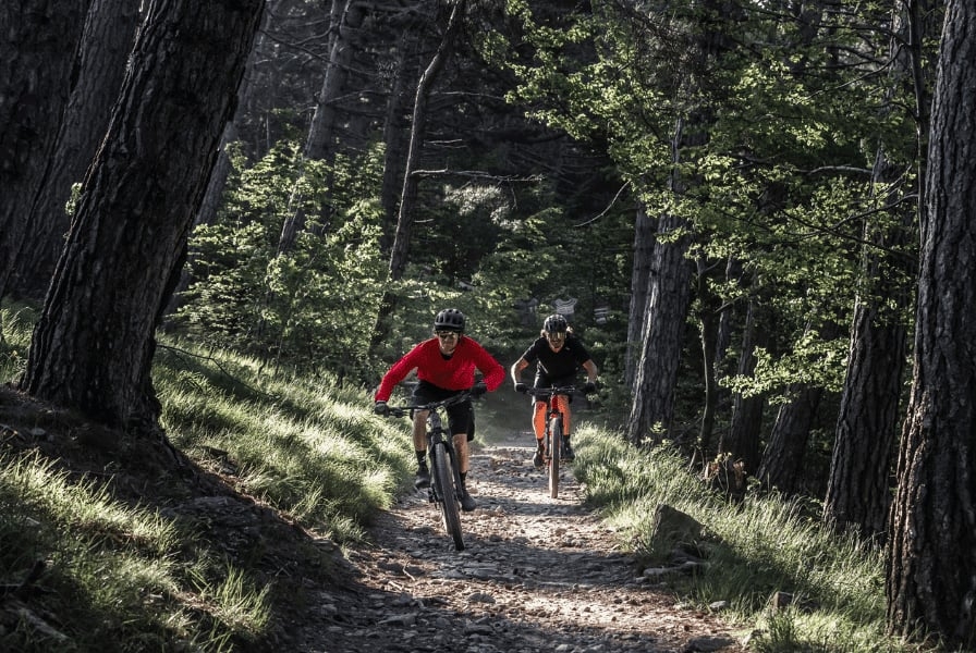 Zwei Radfahrer auf Waldweg bei Dietikon-Fahrradtour
