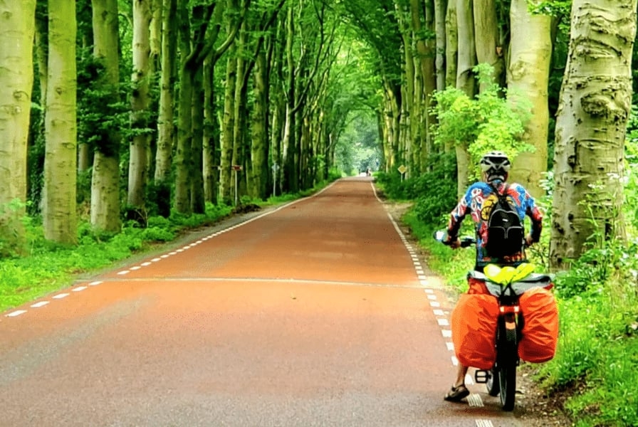 Radfahrer auf roter Straße in bewaldeter Allee bei Dietikon
