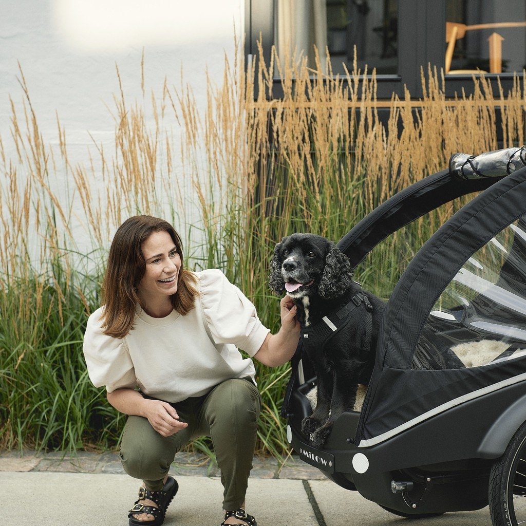 Ein Winther Kangaroo Dog Cargo-Bike mit einer Transportbox, in der ein schwarz-weißer Hund sitzt.