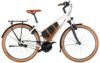 eT25 000893 01 at Riese & Müller Cruiser2 Mixte silent 2025